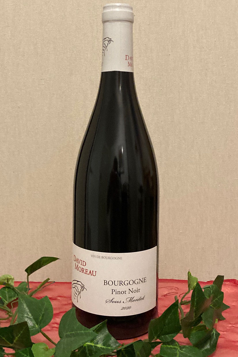 2020 Bourgogne Pinot Noir Sous Montot, Domaine David Moreau, Burgund